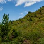 Corno Bianco, Corno nero, Schwarzhorn, Weisshorn, Weißhorn, Zanggen, Zwillingsberge