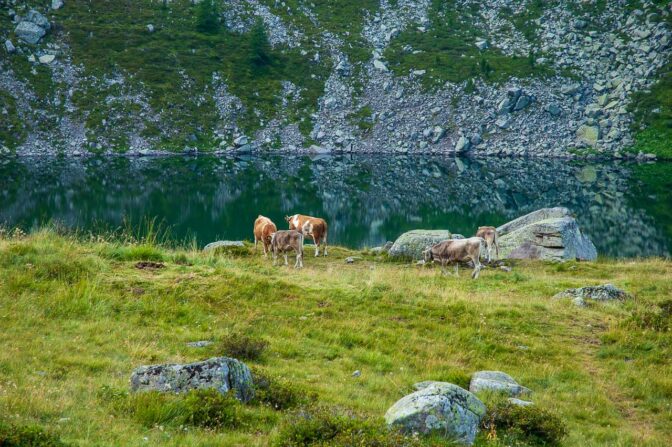 Lago delle Stellune im Val Cadino in der Lagorai-Gruppe