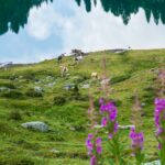 Lago delle Stellune