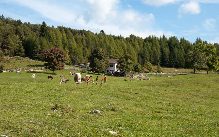 Cisloner Alm