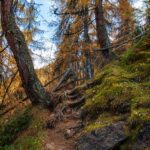 Herbst, Herbstfärbung, Wanderweg, autumn, autunno, sentiero