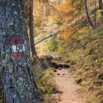 Herbst, Herbstfärbung, Wanderweg, Wegmarkierung, autumn, autunno, sentiero