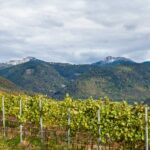 Corno Bianco, Corno nero, Schwarzhorn, Weisshorn, Weißhorn, Zwillingsberge
