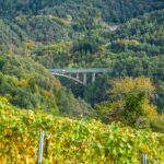 Anbauflächen, Auer, Brücke, Rebflächen, Schlucht, Schwarzenbach, Weinanbaugebiet, Weinbaugebiet, Weinberg, Weinberge, Weinlandschaft, Weinreben, vigna, vigneto, vineyard, wine terroir, wineyards