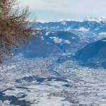 Bolzano, Bolzano e dintorni, Bozen, Catinaccio, Dolomiten, Landeshauptstadt Südtirol, Panoramaaufnahme, Penegal, Rosengarten, Rosengartengruppe, Schlern, Schlerngebiet, Schlernmassiv, Schlernspitzen, Sciliar, South dell’Alto Adige, Süden Südtirol, Süden Südtirols, Südtirols Süden, Winter, inverno, wandern, weiße Jahreszeit, winter