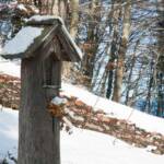 Kreuz, Penegal, wandern