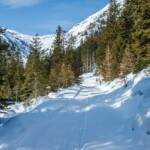 Schnee, Wanderweg, Winter, Winterwanderweg, inverno, sentiero, verschneit, weiße Jahreszeit, winter