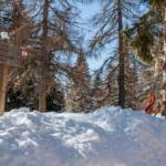 Felixer Weiher, Tret See, rodeln