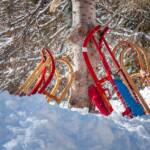 Rodel, Schnee, Winter, inverno, weiße Jahreszeit, winter