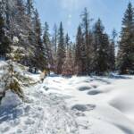 Felixer Weiher, Schnee, Schneewanderung, Tret See, Wanderer, Wanderweg, Winter, Winterwandern, inverno, sentiero, weiße Jahreszeit, winter