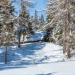 Felixer Weiher, Schnee, Tret See