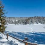 Felixer Weiher, Schnee, Schneewanderung, Spur, Spuren, Tret See, Wanderer, Wanderweg, Winter, Winterwandern, inverno, sentiero, weiße Jahreszeit, winter