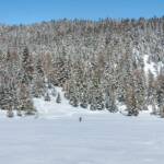 Felixer Weiher, Schnee, Schneewanderung, Spur, Spuren, Tret See, Wanderer, Wanderweg, Winter, Winterwandern, inverno, sentiero, weiße Jahreszeit, winter