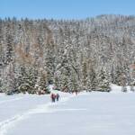 Felixer Weiher, Schnee, Schneewanderung, Spur, Spuren, Tret See, Wanderer, Wanderweg, Winter, Winterwandern, inverno, sentiero, weiße Jahreszeit, winter