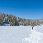 Felixer Weiher, Schnee, Tret See