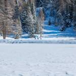 Felixer Weiher, Schnee, Tret See