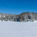 Felixer Weiher, Schnee, Tret See