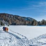 Felixer Weiher, Schnee, Tret See