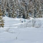 Felixer Weiher, Schnee, Schneewanderung, Spur, Spuren, Tret See, Wanderer, Wanderweg, Winter, Winterwandern, inverno, sentiero, weiße Jahreszeit, winter