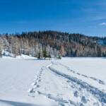 Felixer Weiher, Schnee, Schneewanderung, Spur, Spuren, Tret See, Wanderweg, Winter, Winterwandern, inverno, sentiero, weiße Jahreszeit, winter