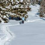 Schnee, Winterwandern