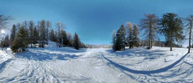 Am Ufer des Felixer Weiher