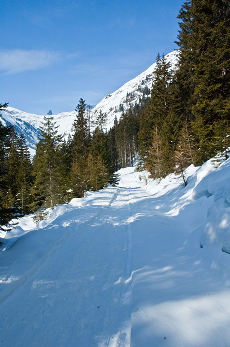 Schneeschuhwanderung Sarntal