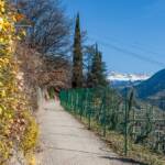 Catinaccio, Frühjahr, Frühling, Oswaldpromenade, Rosengarten, Rosengartengruppe, Spazierweg, Wanderweg, Weg, cammino, sentiero, way