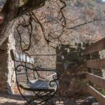 Bank, Baum, Bäume, Einhalt, Erholung, Holzzaun, Markierung, Pause, Rast, Wandermarkierung, Wanderwegmarkierung, Weg, Wegmarkierung, Zaun, albero, ausruhen, bleiben, cammino, rasten, ruhen, tree, verweilen, wandern, way