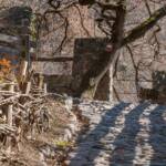 Weg, cammino, gepflastert, way