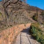 Blauregen, Frühjahr, Frühling, Glycinen, Glycinien, Glyzinen, Glyzinie, Glyzinien, Oswaldpromenade, Pflasterweg, Spaziergang, Spazierweg, Sport, Wanderweg, Weg, Wistarie, Wisteria, Wisterien, cammino, passeggiare, sentiero, spazieren, spazieren gehen, sports, wandern, way