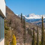 Berg, Berge, Botanik, Catinaccio, Flora, Frühjahr, Frühling, Pflanze, Rosengarten, Rosengartengruppe, Zypresse, Zypressen, cipresso, cypress