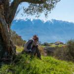 Anni, Frühjahr, Frühling, Gardameer, Gardasee, Olive, Olivenbaum, Olivenbäume, Tremosine sul Garda, Ölbaum