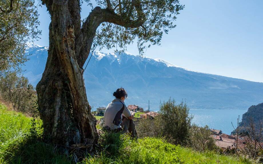 Gardameer, Gardasee, Tremosine sul Garda
