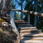 Erlebniswanderweg, Erlebnisweg, Geländer, Holzgeländer, Lehrpfad, Lehrweg, Naturerlebnisweg, Naturlehrpfad, Oswald von Wolkenstein, Stufen, Treppe, Treppen, Treppenstufen, Wanderweg, Weg, cammino, scala, sentiero, way