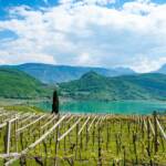 Barleit, Barleiter Wanderweg