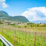 Caldaro, Frühjahr, Frühling, Kaltern