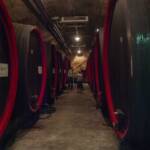 Erste & Neue Kellerei, Fässer, Kellerei, Weinkellerei, cantina, cantina vinicola, wine cellar, winery