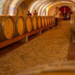 BZ, Erste & Neue Kellerei, Fass, Freske, Fresken, Fresko, Fässer, Italien, Kaltern, Kellerei, Wandmalerei, Weinfass, Weinfässer, Weinkeller, Weinkellerei, cantina, cantina vinicola, wine cellar, winery