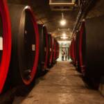 BZ, Fass, Fässer, Holzfass, Holzfässer, Italien, Kaltern, Weinfass, Weinfässer