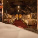 BZ, Italien, Kellerei Kettmeir, Weinfass, XXXXXXXXX