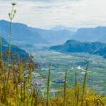 BZ, Bolzano e dintorni, Italien, Seit, South dell’Alto Adige, Süden Südtirol, Süden Südtirols, Südtirols Süden