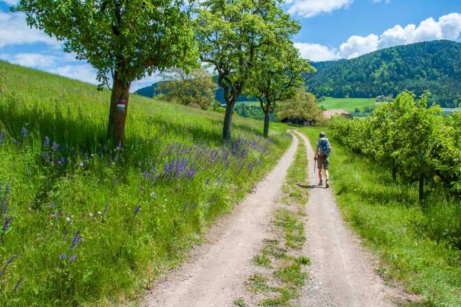 Kurz vor dem Spronberger Hof