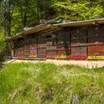 Bienenstock, Bienenstöcke, Bienenzucht, Imker, Imkerei, Ritten