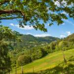 BZ, Erdpyramiden, Italien, Oberbozen, Ritten, Signat