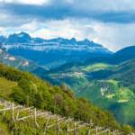 BZ, Berg, Catinaccio, Italien, Oberbozen, Ritten, Rosengarten, Rosengartengruppe, Steinegg