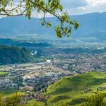 BZ, Bolzano, Bozen, Italien, Landeshauptstadt Südtirol, Oberbozen, St. Magdalena, Weinberg, Weinberge, vigna, vigneto, vineyard