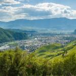 BZ, Bolzano, Bozen, Italien, Landeshauptstadt Südtirol, Oberbozen, St. Magdalena, Weinberg, Weinberge, vigna, vigneto, vineyard