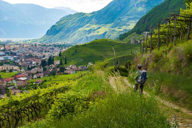 Blick auf Bozen und den Weinhügel von St. Magdalena