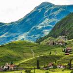 BZ, Bolzano, Bozen, Italien, Landeshauptstadt Südtirol, St. Magdalena, Weinberg, Weinberge, vigna, vigneto, vineyard